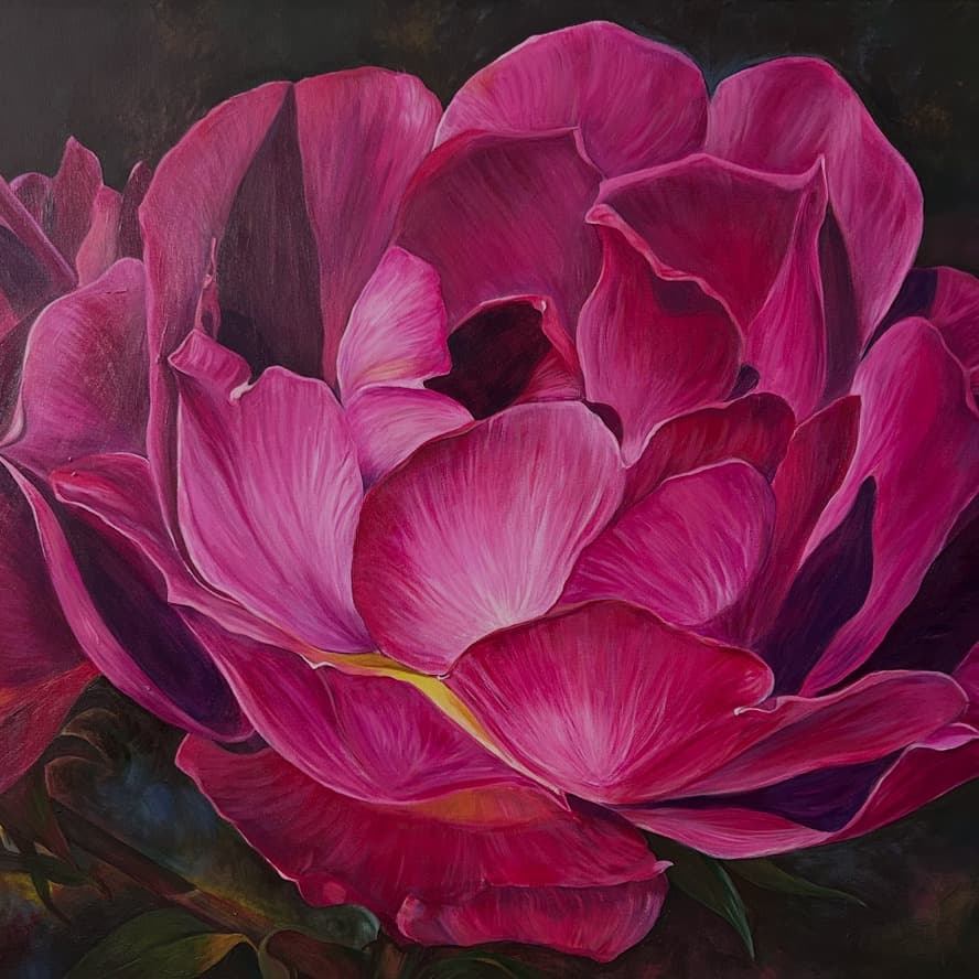 Pink Peony