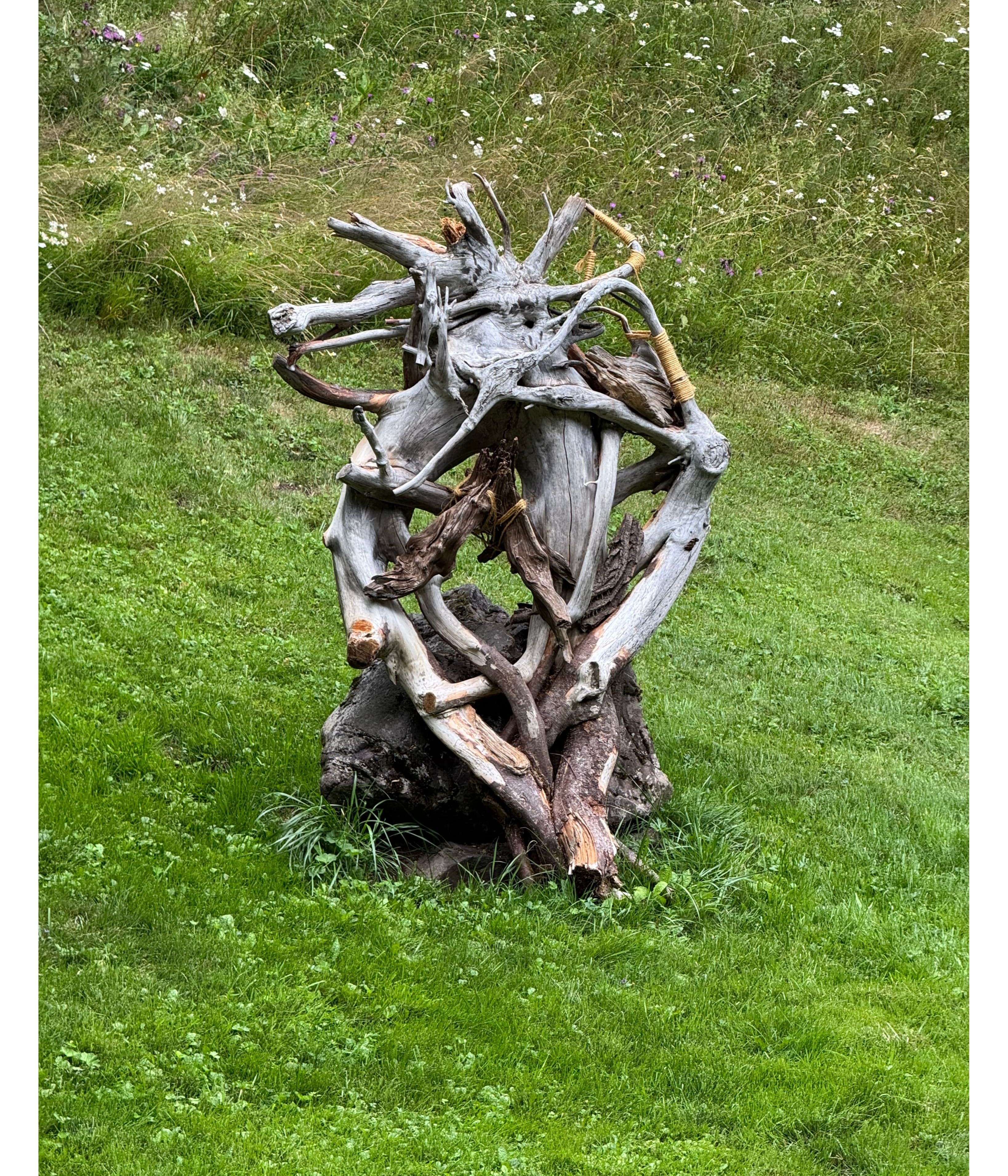Windborne
