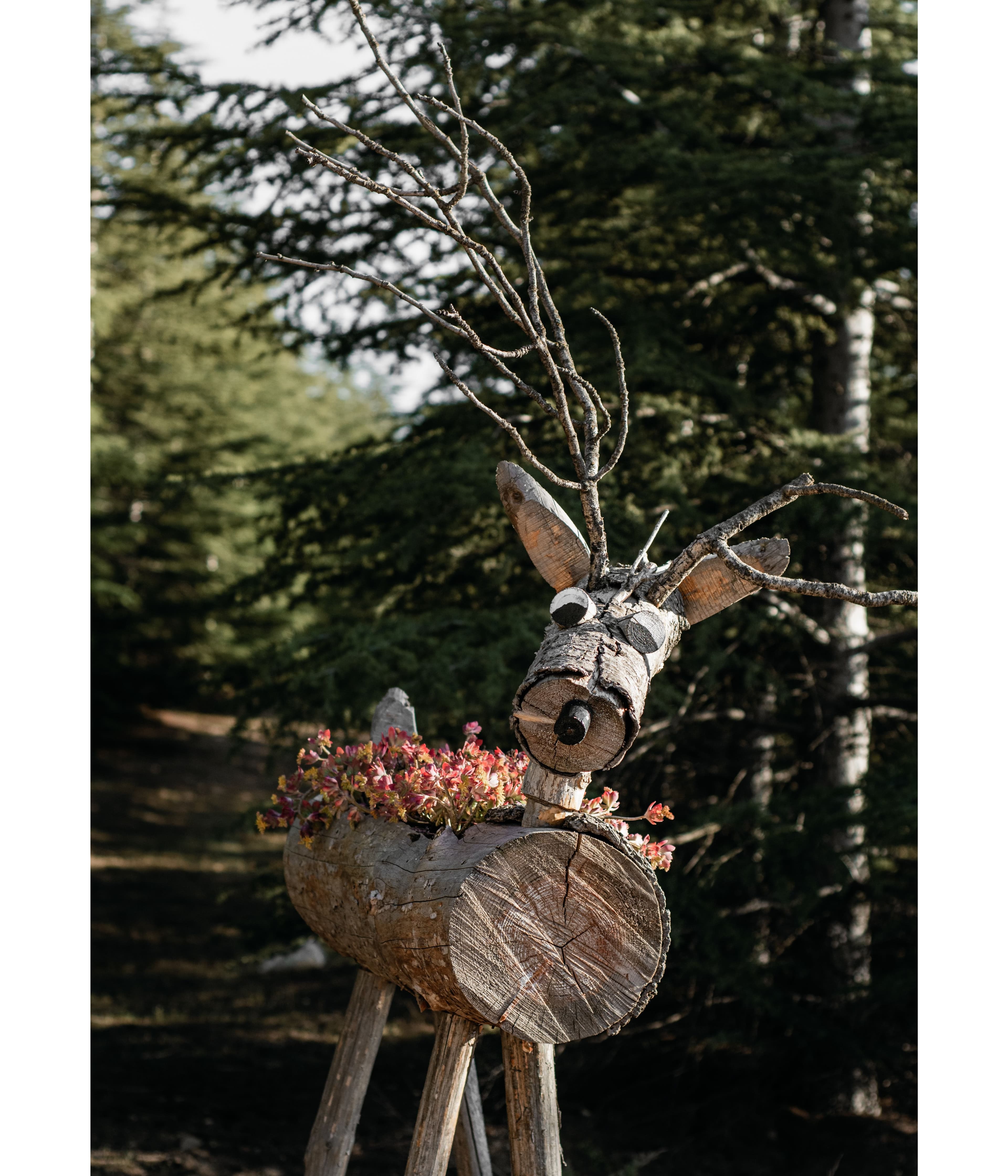 The Flower Stag