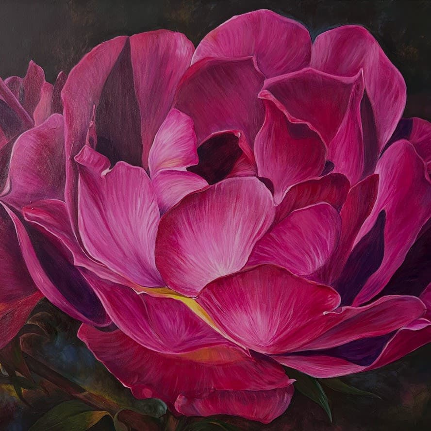 Pink Peony